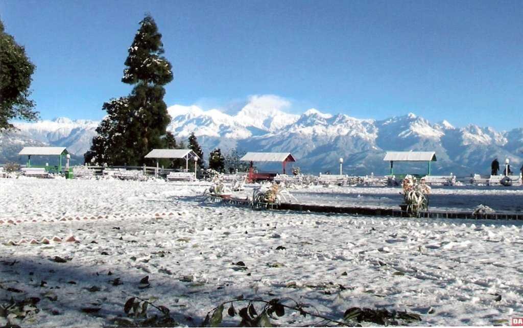 darjeelingsnow